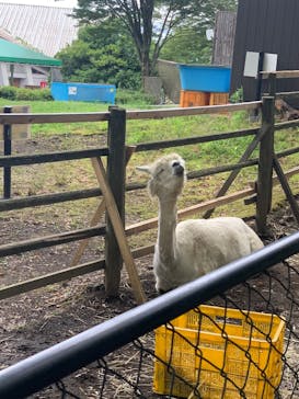 阿蘇カドリー・ドミニオンに投稿された画像（2025/7/14）