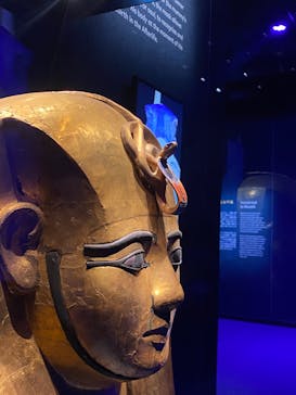 ACN ラムセス大王展 ファラオたちの黄金に投稿された画像（2025/7/14）