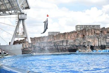 名古屋港水族館に投稿された画像（2025/7/14）