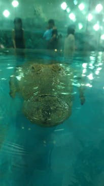 NIFREL（ニフレル）に投稿された画像（2025/7/15）