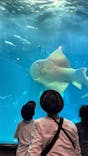 葛西臨海水族園に投稿された画像（2025/7/15）