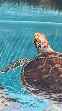 葛西臨海水族園に投稿された画像（2025/7/15）