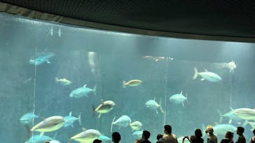 葛西臨海水族園に投稿された画像（2025/7/15）