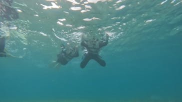 武藤潜水に投稿された画像（2025/7/15）