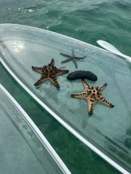 マリンクラブクレアに投稿された画像（2025/7/15）