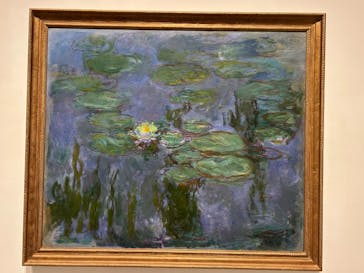 モネ 睡蓮のとき（豊田会場）に投稿された画像（2025/7/15）