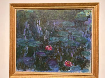 モネ 睡蓮のとき（豊田会場）に投稿された画像（2025/7/15）