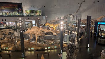 福井県立恐竜博物館に投稿された画像（2025/7/15）