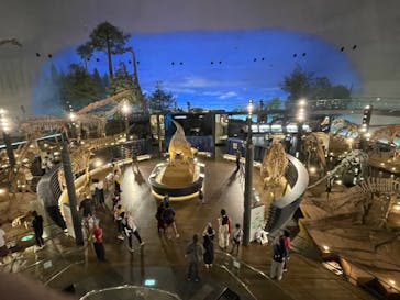 福井県立恐竜博物館に投稿された画像（2025/7/15）