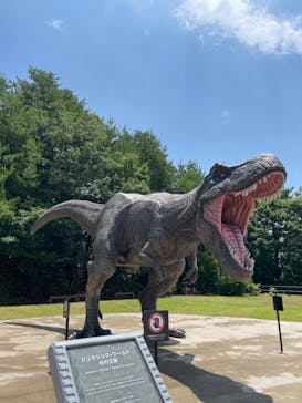 福井県立恐竜博物館に投稿された画像（2025/7/15）