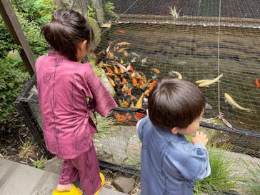 箱根湯本温泉 天成園に投稿された画像（2025/7/15）