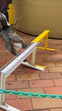 マクセル アクアパーク品川に投稿された画像（2025/7/15）