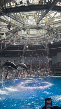 マクセル アクアパーク品川に投稿された画像（2025/7/15）