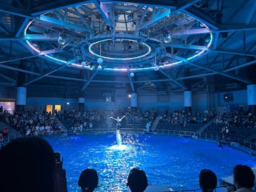 マクセル アクアパーク品川に投稿された画像（2025/7/15）