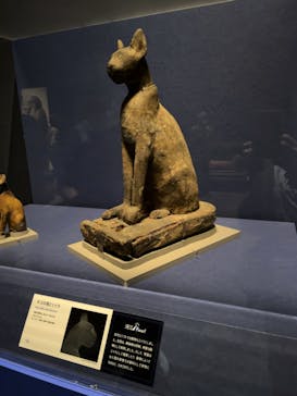 ブルックリン博物館所蔵　特別展　古代エジプト（豊田会場）に投稿された画像（2025/7/15）