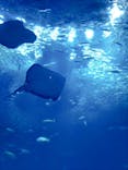 アクアワールド茨城県大洗水族館に投稿された画像（2025/7/15）