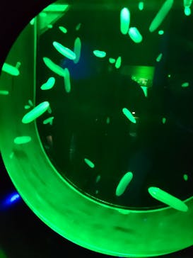 アクアワールド茨城県大洗水族館に投稿された画像（2025/7/15）