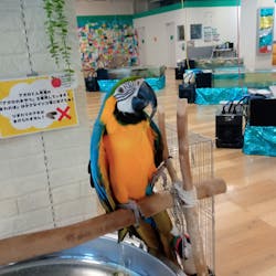 いきもの探検隊湘南に投稿された画像（2025/7/15）