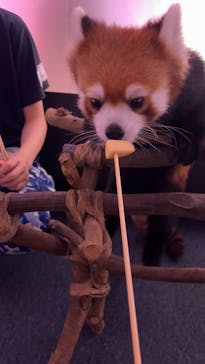 横浜・八景島シーパラダイスに投稿された画像（2025/7/15）