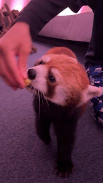 横浜・八景島シーパラダイスに投稿された画像（2025/7/15）