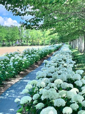 牧歌の里に投稿された画像（2025/7/15）