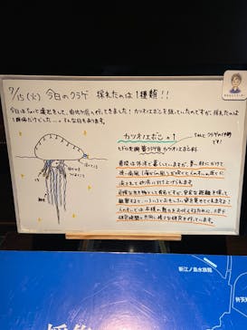 新江ノ島水族館に投稿された画像（2025/7/15）