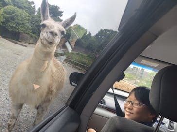 那須サファリパークに投稿された画像（2025/7/16）