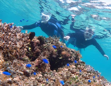 アマミエンシスに投稿された画像（2025/7/16）