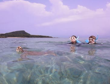 アマミエンシスに投稿された画像（2025/7/16）