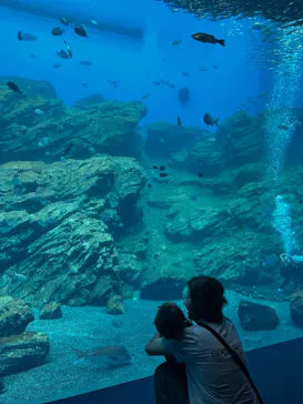 仙台うみの杜水族館に投稿された画像（2025/7/16）