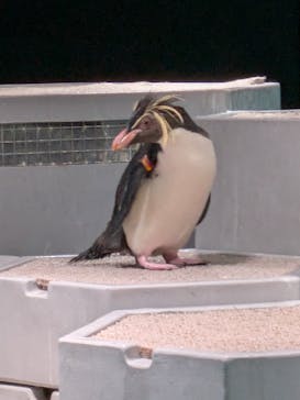 AOAO SAPPOROに投稿された画像（2025/7/16）