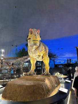 福井県立恐竜博物館に投稿された画像（2025/7/16）