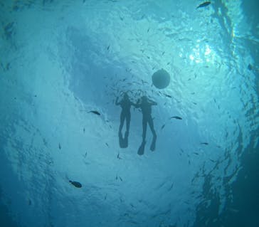 沖縄マリンサービス碧に投稿された画像（2025/7/16）