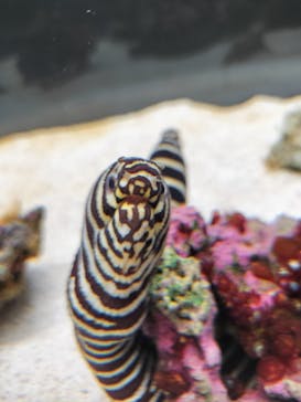 AOAO SAPPOROに投稿された画像（2025/7/16）