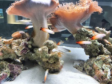 AOAO SAPPOROに投稿された画像（2025/7/16）