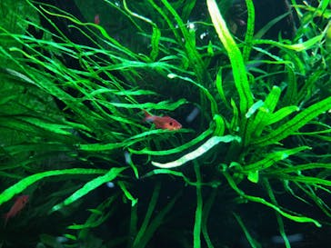 AOAO SAPPOROに投稿された画像（2025/7/16）