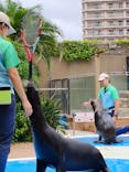サンシャイン水族館に投稿された画像（2025/7/16）
