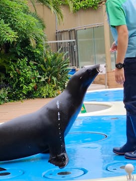 サンシャイン水族館に投稿された画像（2025/7/16）