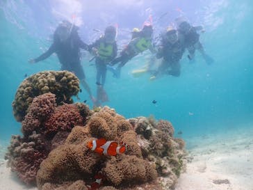 元気玉に投稿された画像（2025/7/16）