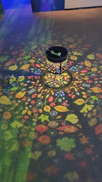 旅する光の切り絵展 ～くうそうって、まほうだよ～に投稿された画像（2025/7/16）