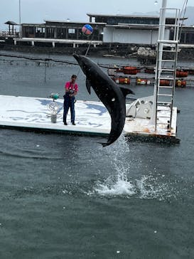 あわしまマリンパークに投稿された画像（2025/7/16）