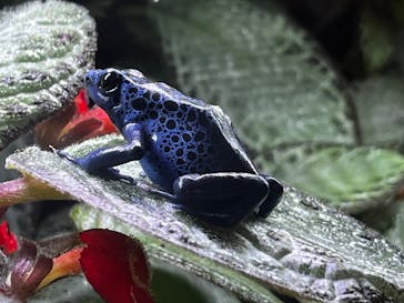 あわしまマリンパークに投稿された画像（2025/7/16）