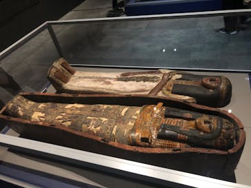 ブルックリン博物館所蔵　特別展　古代エジプト（豊田会場）に投稿された画像（2025/7/16）