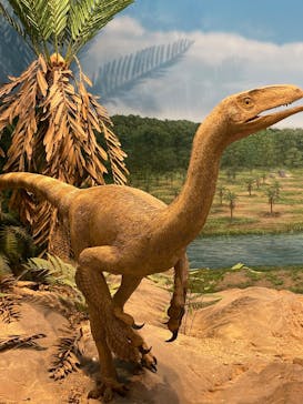 福井県立恐竜博物館に投稿された画像（2025/7/16）