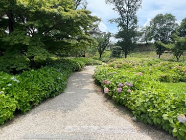 元離宮二条城に投稿された画像（2025/7/16）