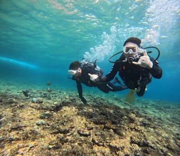 武藤潜水に投稿された画像（2025/7/16）