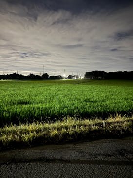 成田の命泉　大和の湯に投稿された画像（2025/7/16）