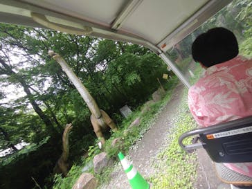 那須高原りんどう湖ファミリー牧場に投稿された画像（2025/7/16）