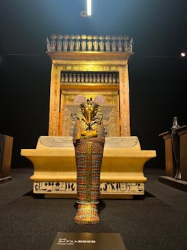 MYSTERY OF TUTANKHAMEN 体感型古代エジプト展に投稿された画像（2025/7/16）