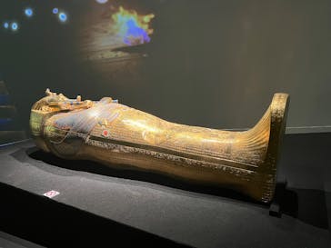 MYSTERY OF TUTANKHAMEN 体感型古代エジプト展に投稿された画像（2025/7/16）